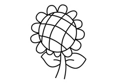 ���տ����P���������E����