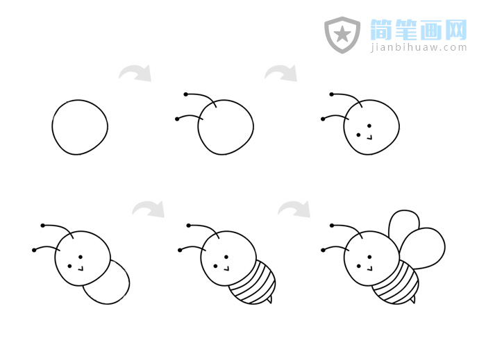 蜜蜂簡筆畫彩色繪畫步驟教程