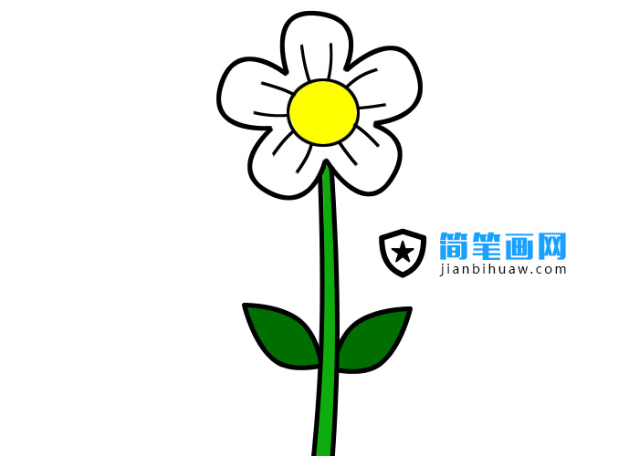 小花朵簡筆畫繪畫步驟和上色教程