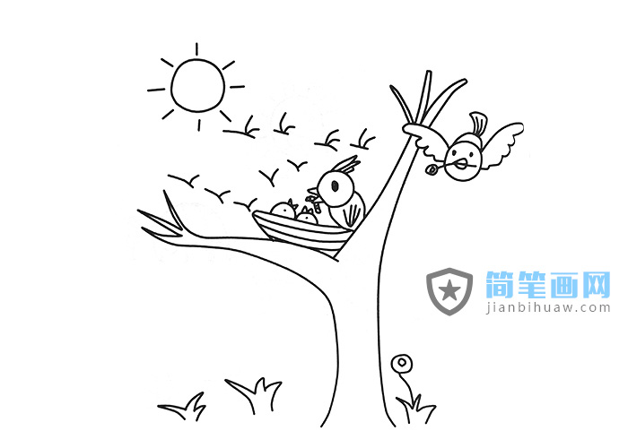 鳥媽媽給小鳥寶寶喂蟲子的簡筆畫圖片