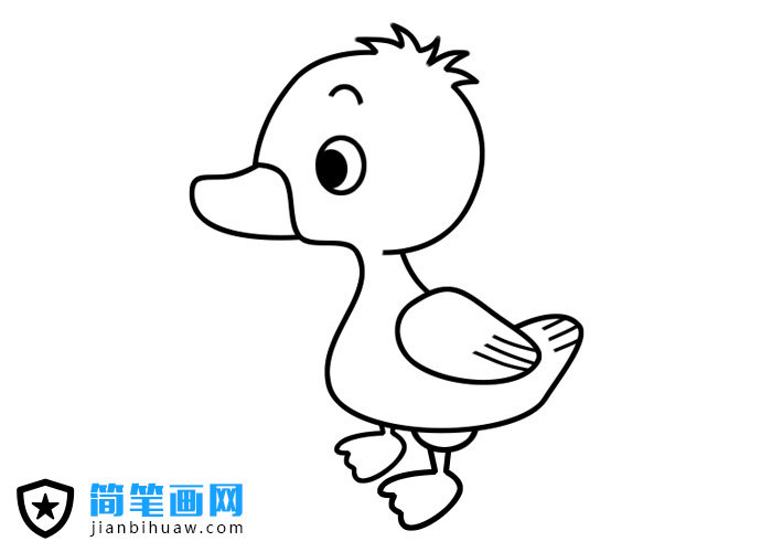 小鴨子簡筆畫圖片