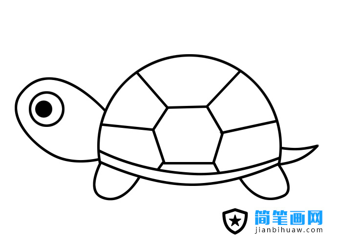 烏龜簡筆畫圖片含上色圖片