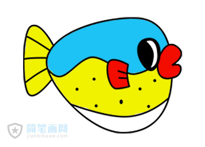 河豚簡筆畫上色和分解步驟教程