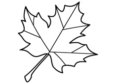 楓葉簡筆畫圖片含分解步驟