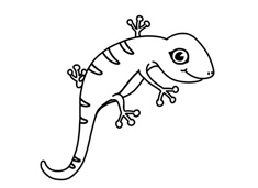 С�ڻ����P���DƬ