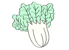 簡單漂亮的大白菜簡筆畫圖片