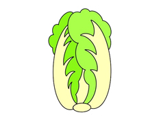 簡單漂亮大白菜簡筆畫