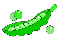 ��ɫ�㶹���P���DƬ����ɫ