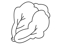 簡單的大白菜簡筆畫圖片