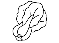 ��˺��P���DƬ