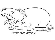 大河馬簡筆畫圖片