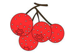 山楂簡筆畫上色圖片