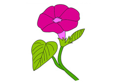 ���������P������ɫ�DƬ