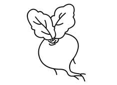 美味的紅皮大蘿卜簡筆畫圖片