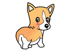 �ɐ�С�������P���DƬ����ɫ