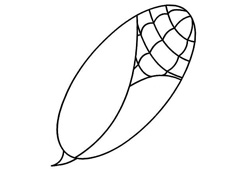 玉米簡筆畫圖片