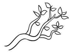 ���κî��Ę�֦���P���DƬ����ɫ