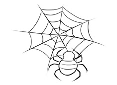 簡單好畫的蜘蛛網蜘蛛簡筆畫圖片