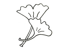 銀杏葉子簡筆畫圖片
