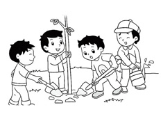 4���к���ֲ��ĺ��P���DƬ