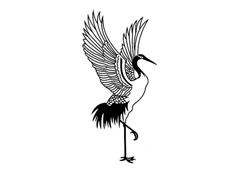 ���_���ĵ���Q���P���DƬ