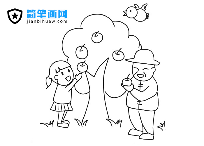 小女孩和爺爺在蘋果樹下摘蘋果的簡筆畫圖片