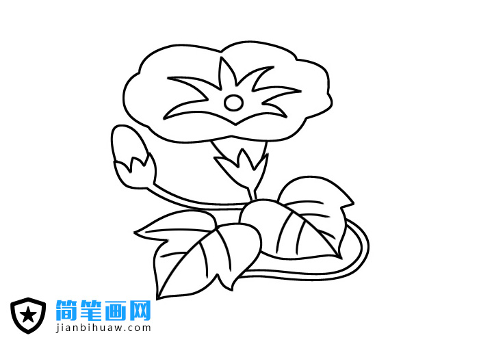 ���������P���DƬ