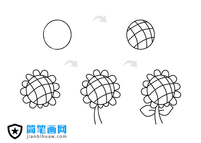 向日葵簡筆畫步驟畫法