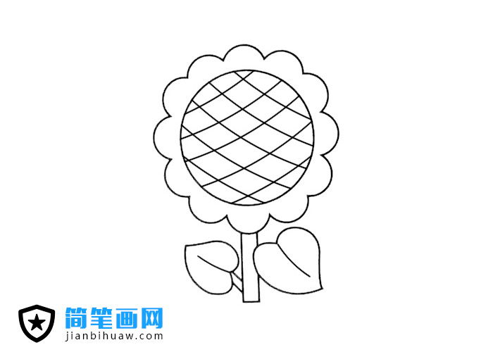 向日葵簡筆畫圖片