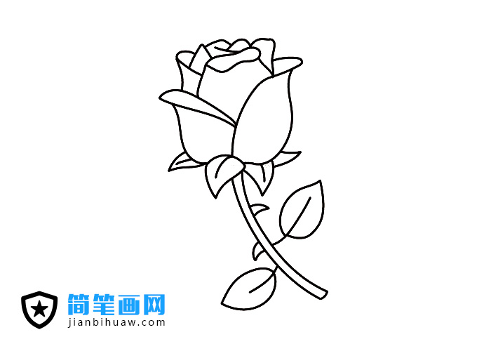 漂亮的玫瑰花簡筆畫圖片含上色