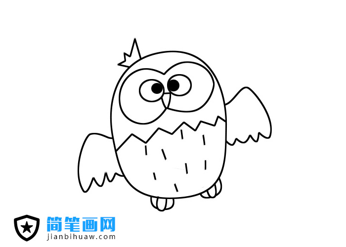 教你貓頭鷹簡筆畫步驟分解圖片