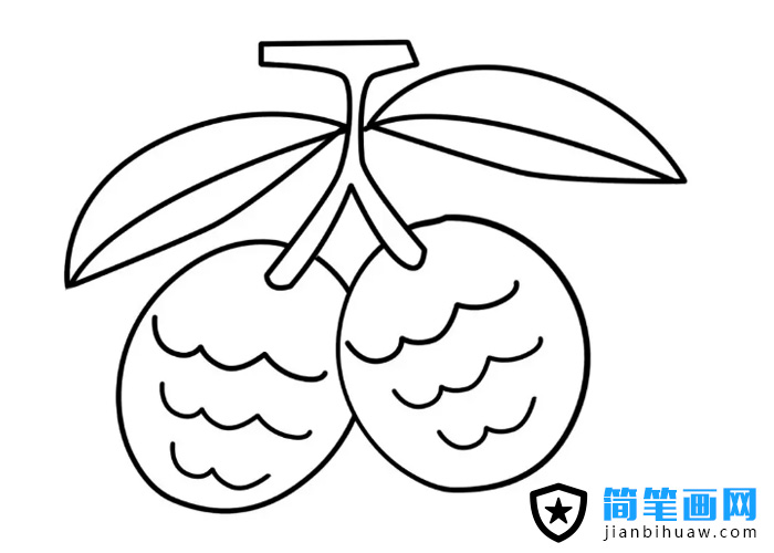 好吃的荔枝簡筆畫圖片