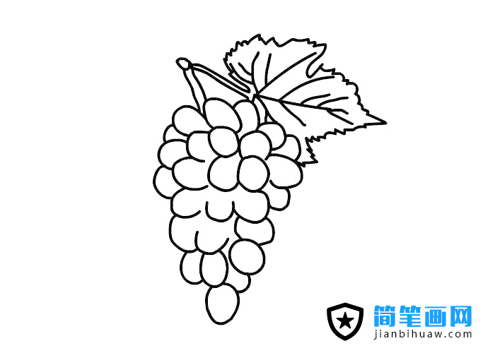 提子簡筆畫上色圖片