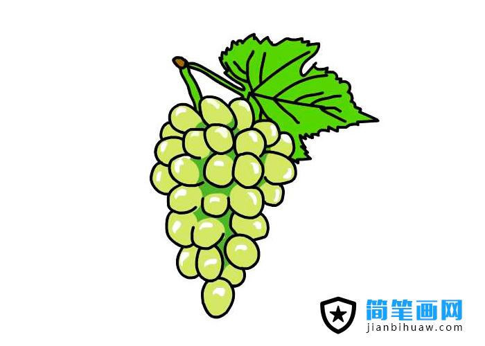提子簡筆畫上色圖片