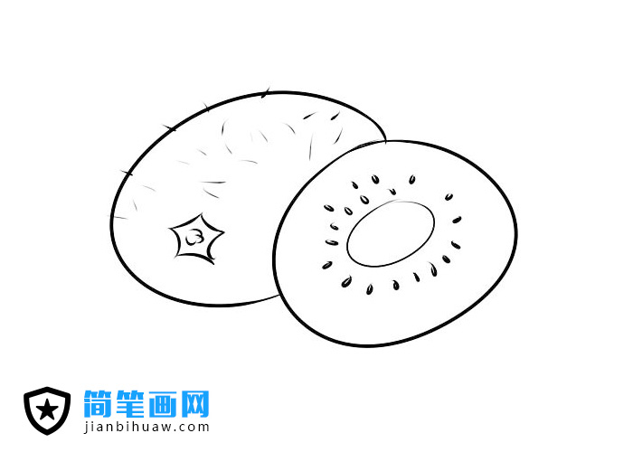 獼猴桃簡筆畫上色圖片