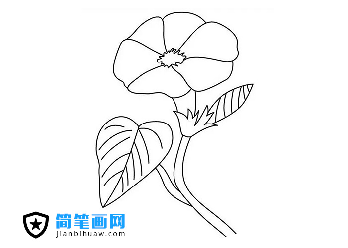 ���������P������ɫ�DƬ