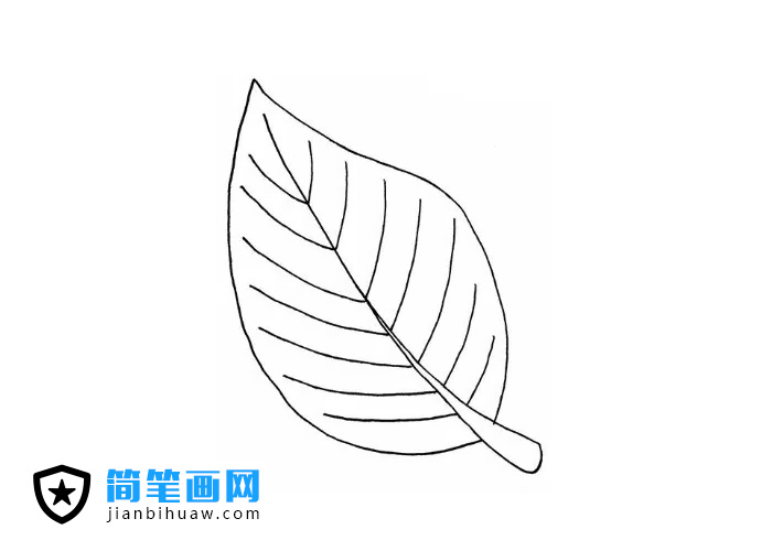 綠葉簡筆畫圖片和上色
