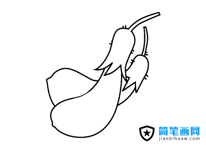 茄子簡筆畫圖片含上色