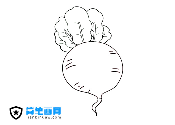 大紅蘿卜簡筆畫圖片含上色