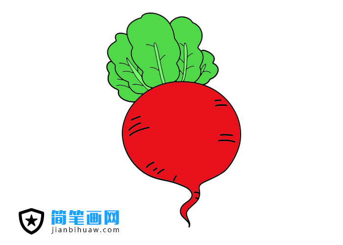 大紅蘿卜簡筆畫圖片含上色