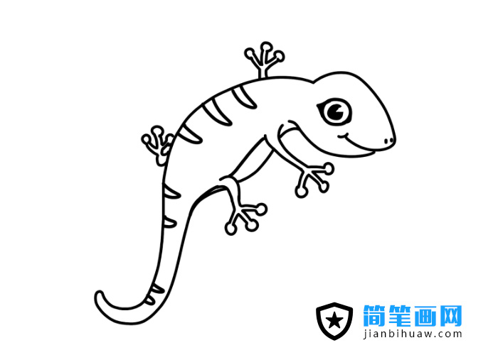 小壁虎簡筆畫圖片