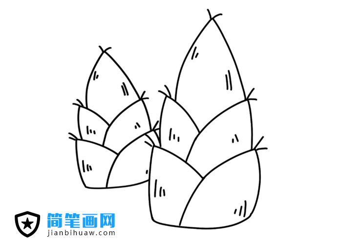 竹筍簡筆畫圖片