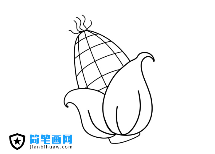 玉米簡筆畫圖片含上色