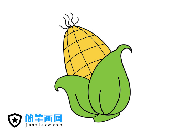 玉米簡筆畫圖片含上色