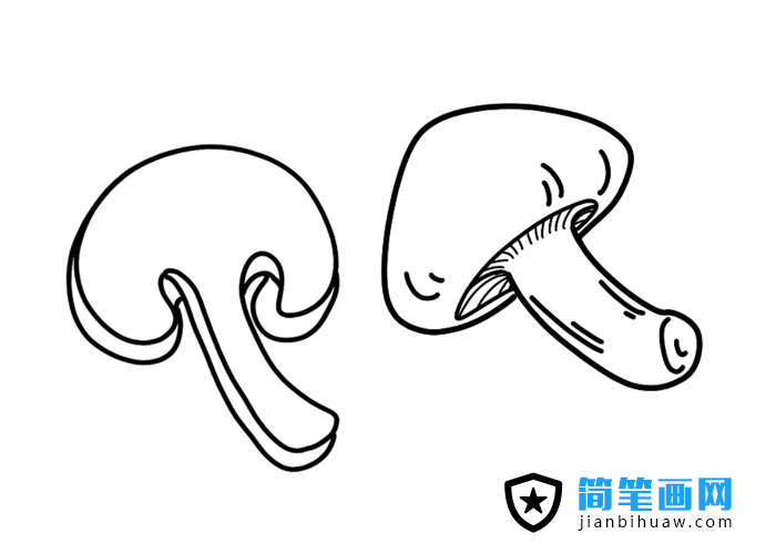 切片的蘑菇簡筆畫圖片