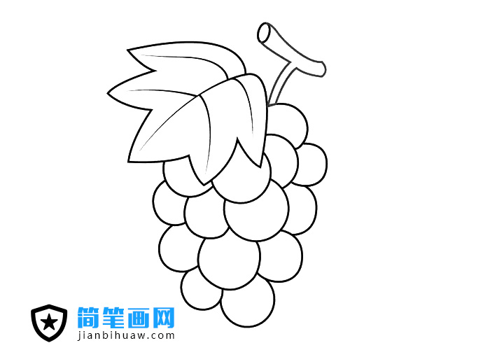 紫色葡萄簡筆畫圖片含上色