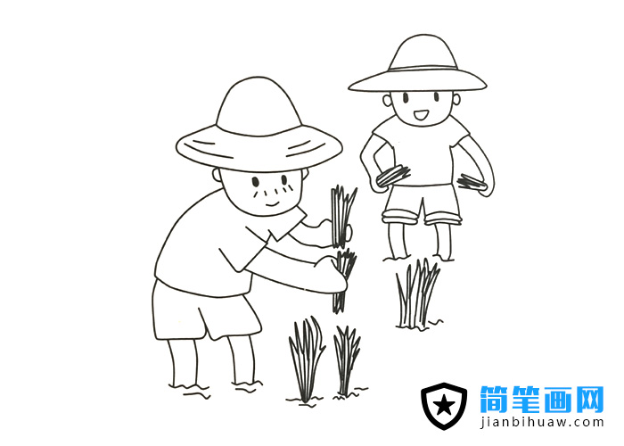 兩位農民爺爺在田里栽水稻的簡筆畫圖片