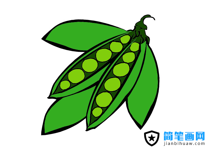 豆莢簡筆畫圖片