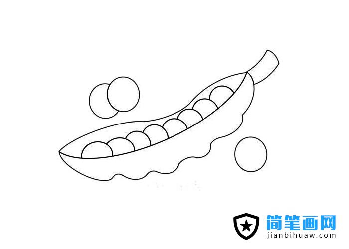 彩色豌豆簡筆畫圖片含上色