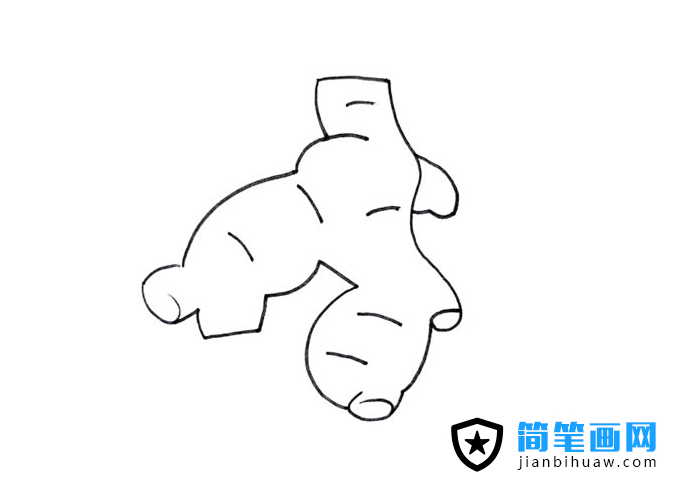 生姜簡筆畫圖片含上色